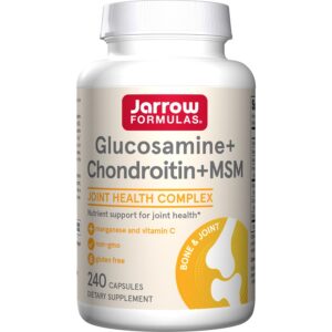 Glucosamine + Chondroitin + MSM - 240 caps