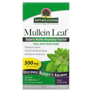 Mullein Leaf